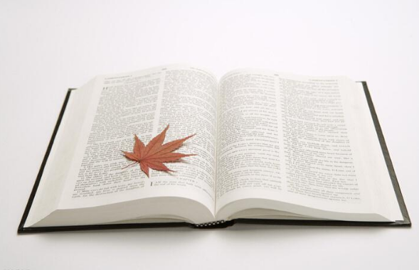 北京文學(xué)書籍翻譯標準價格 北京文學(xué)書籍翻譯標準價格